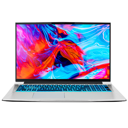 Machenike F117-FP Gen 11 Intel (17.3”) Gaming Laptop